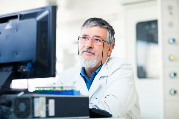 Senior researcher using a computer in the lab — Stock Photo, Image