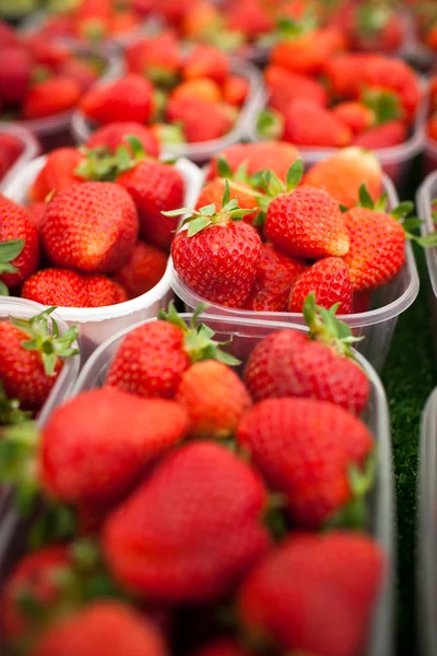 农民市场系列-新鲜草莓 — 图库照片