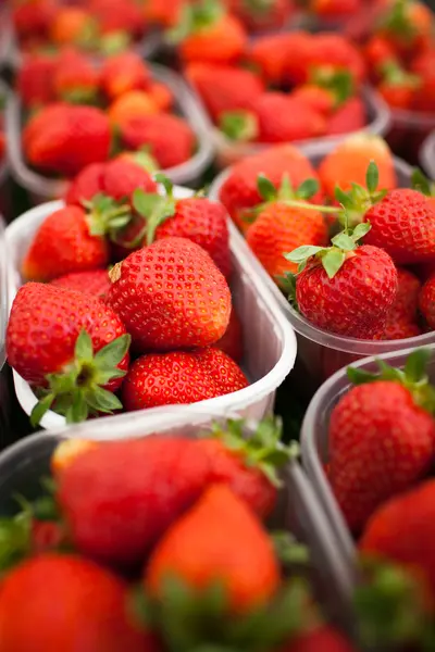 Farmers market series - fresh strawberries — Stock Photo, Image