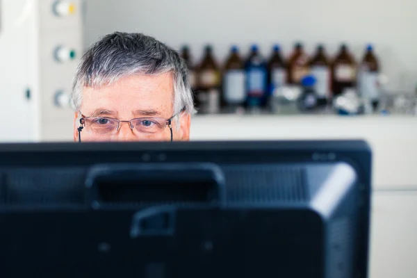 Senior researcher using a computer in the lab — Stock Photo, Image