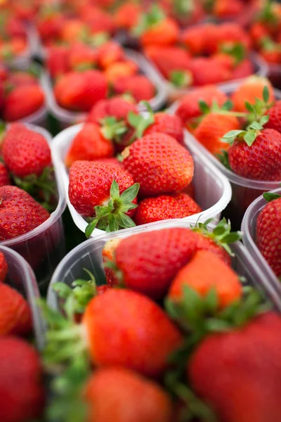 Jordbrukarna marknaden serien - färska jordgubbar — Stockfoto