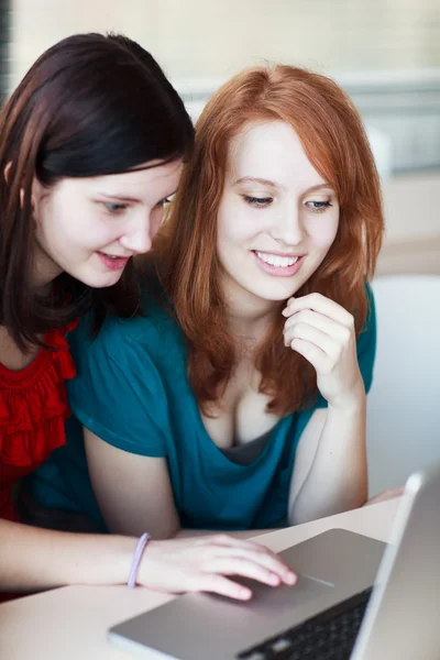 Twee vrouwelijke studenten op een laptopcomputer werkt — Stockfoto