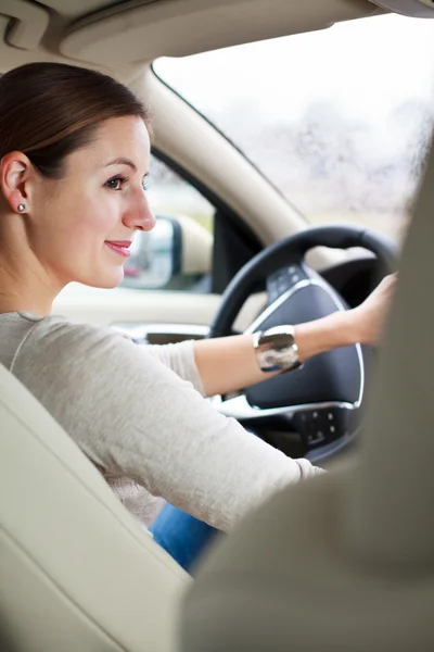 Woman driving a car Stock Image