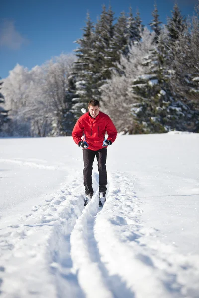 Cross-country kayak: genç adam cross-country kayağı — Stok fotoğraf