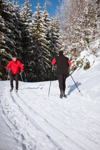 Cross-country skiing: young man cross-country skiing Stock Picture