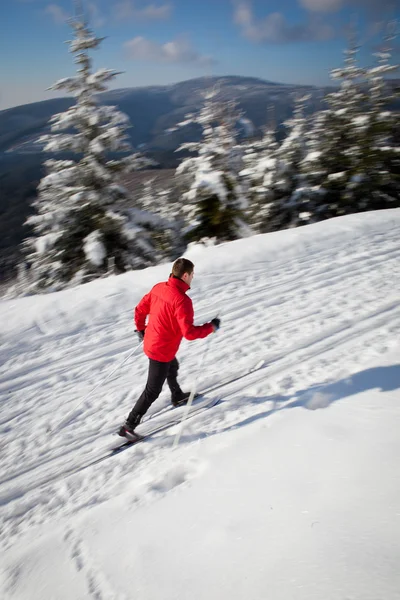 Cross-country skiing: young man cross-country skiing — Stock Photo, Image