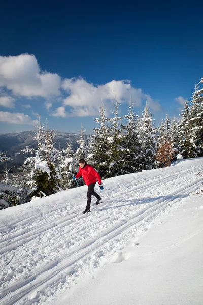 Esquí de fondo: joven esquí de fondo — Foto de Stock