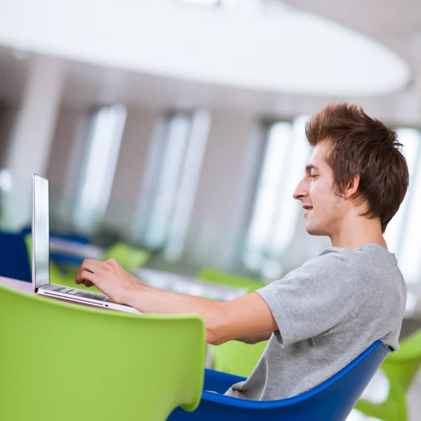 Studente universitario utilizzando il suo computer portatile — Foto Stock