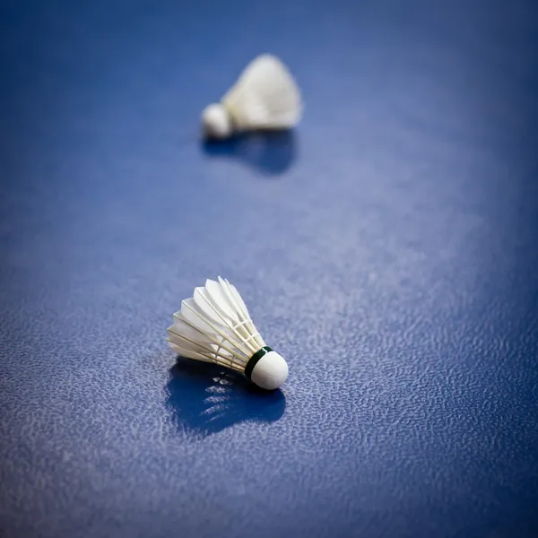 Badminton - badminton courts with two shuttlecocks — Stock Photo, Image