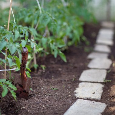 Sağlığınla organik/biyo/permakültür Bahçe