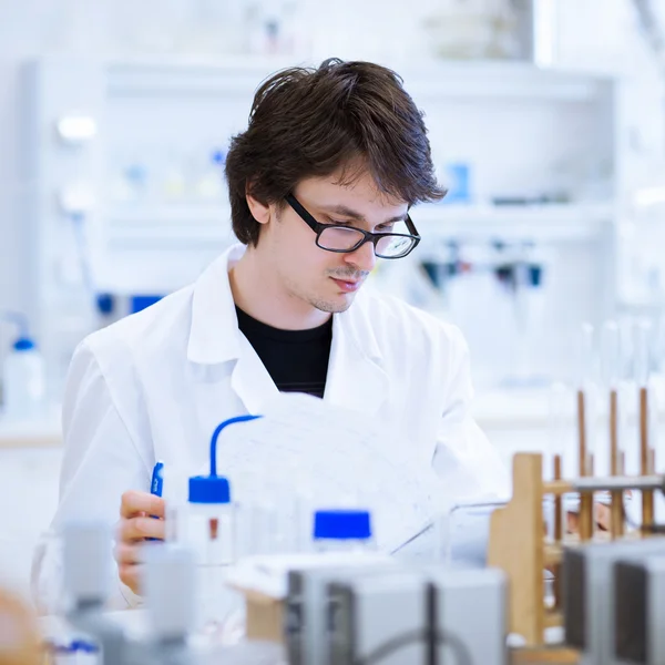 Young, male researcher/chemistry student — Stock Photo, Image