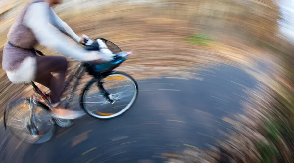 Montar en bicicleta en un parque de la ciudad en un hermoso día de otoño / otoño — Foto de Stock