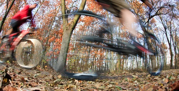 Montar en bicicleta en un parque de la ciudad en un hermoso día de otoño / otoño — Foto de Stock