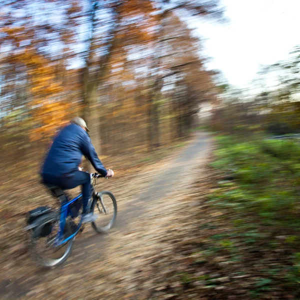 Ποδήλατο ιππασία σε ένα πάρκο της πόλης σε μια μέρα όμορφη φθινόπωρο — Φωτογραφία Αρχείου