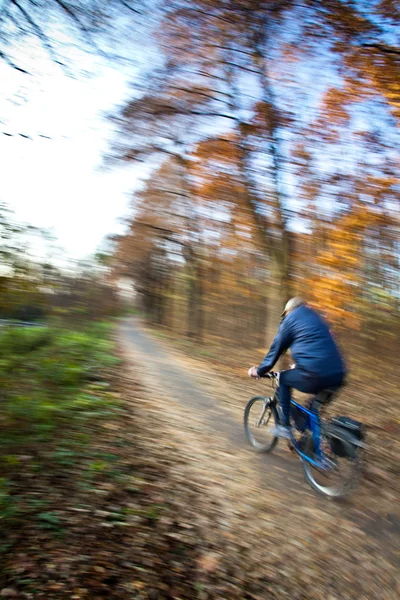 在城市公园的可爱秋色日骑自行车 — 图库照片