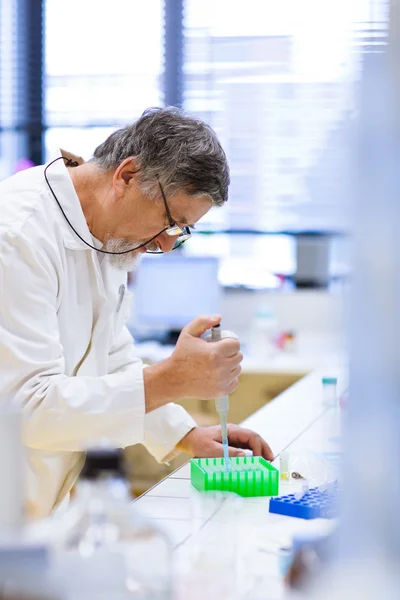 Senior mannelijke onderzoeker uitvoeren van wetenschappelijk onderzoek in een lab — Stockfoto