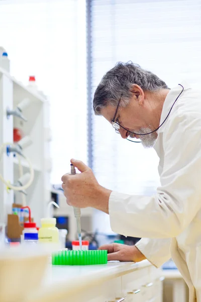 Senior männliche Forscher, die wissenschaftliche Forschung in einem Labor durchführen — Stockfoto