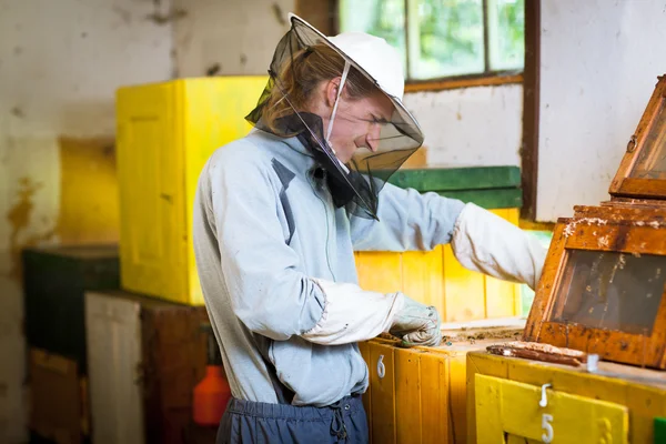 Biodlare som arbetar i en bikupa som innehar en ram av honeycomb — Stockfoto