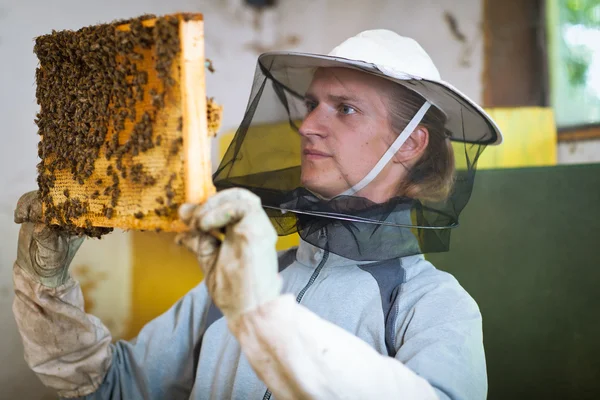 Imker bei der Arbeit in einem Bienenhaus mit einem Bienenwabenrahmen — Stockfoto