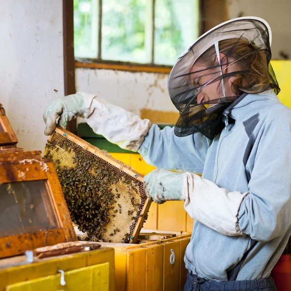 Apicoltore che lavora in un apiario con una struttura a nido d'ape — Foto Stock