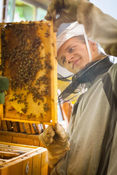 Beekeeper by an apiary observing carefully his bees — Stock Photo, Image