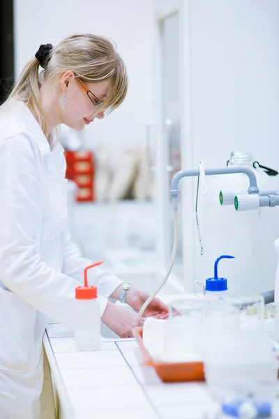 Investigadora que realiza experimentos de investigación en un laboratorio — Foto de Stock