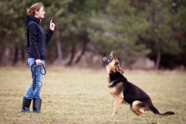 Master and her obedient dog clipart