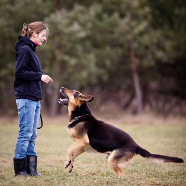 Master ve sadık köpeği