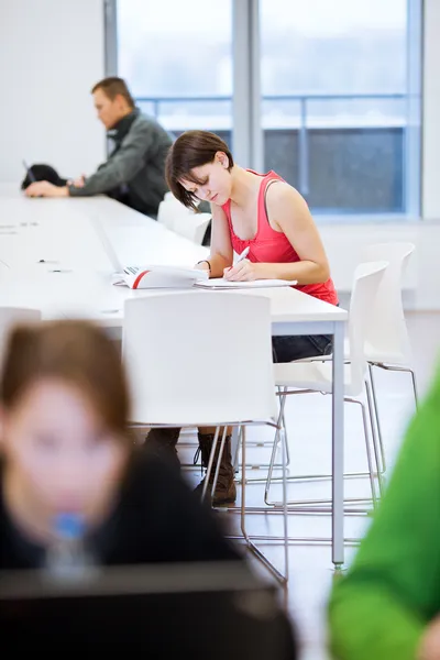 Csinos, fiatal főiskolai hallgató tanul a könyvtárban — Stock Fotó