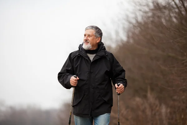 Starší muž nordic walkingu — Stock fotografie