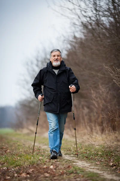 Старший чоловік скандинавська ходьба — стокове фото