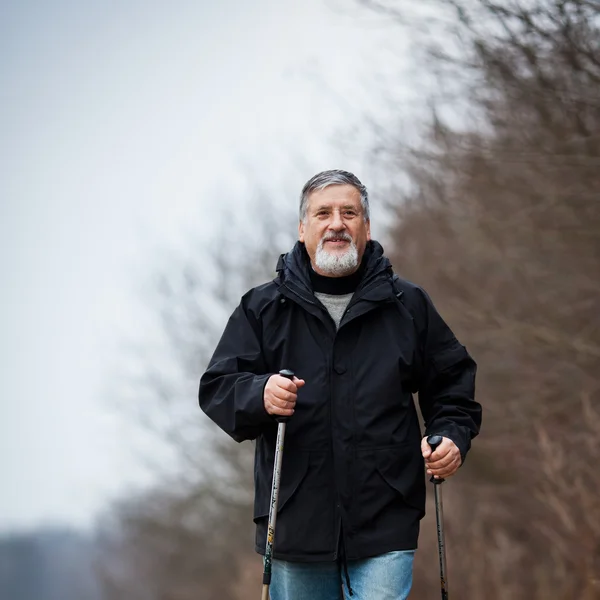 Starší muž nordic walkingu — Stock fotografie