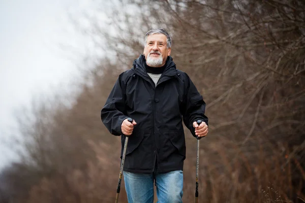 Senior man nordic walking — Stock Photo, Image