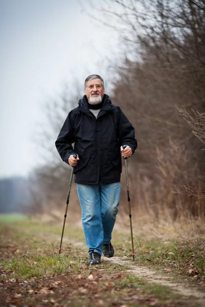 Senior homme nordique marche — Photo