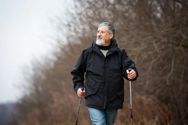 Senior man nordic-walking — Stockfoto