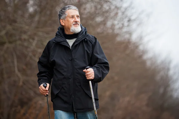 Senior man nordic-walking — Stockfoto