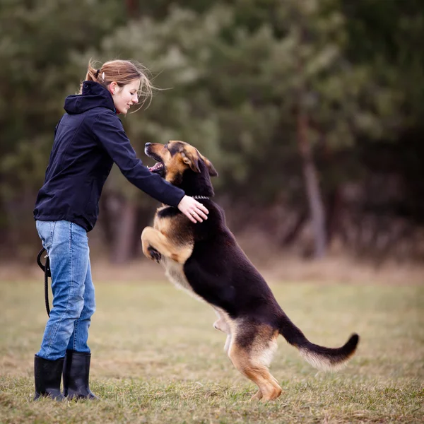 Master and her obedient dog — Stock Photo, Image