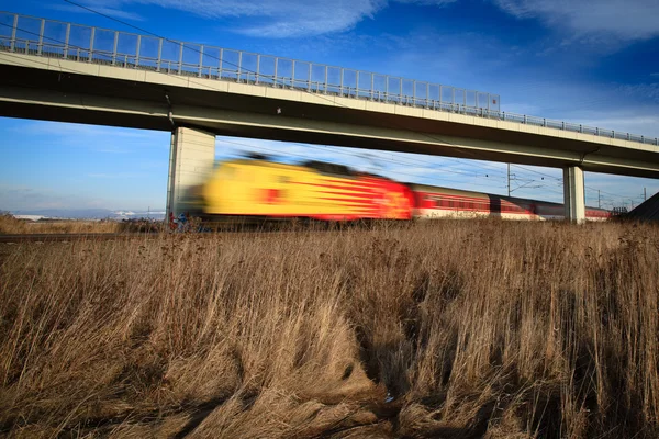 Szybki pociąg, przechodzi pod mostem w piękny letni dzień — Zdjęcie stockowe