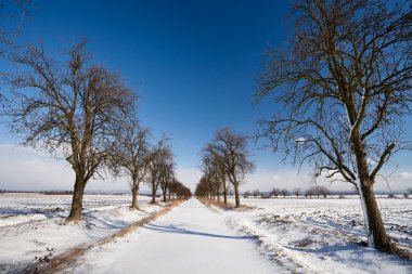 Alley covered with fresh snow on a sunn clipart