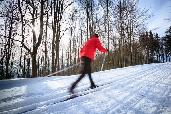 Esquí de fondo: joven esquí de fondo —  Fotos de Stock