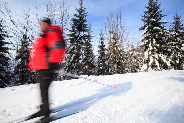 Ski de fond : jeune homme Ski de fond — Photo