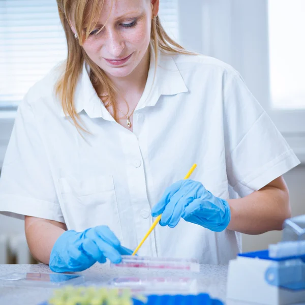 A női kutató csinálás kutatás labor portréja — Stock Fotó