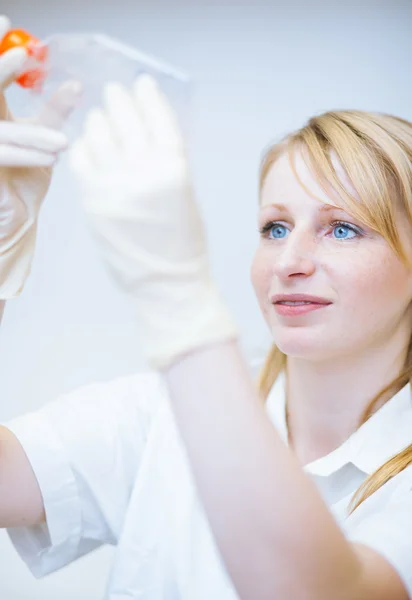 Portrait of a female researcher doing research in a lab — Stock Photo, Image
