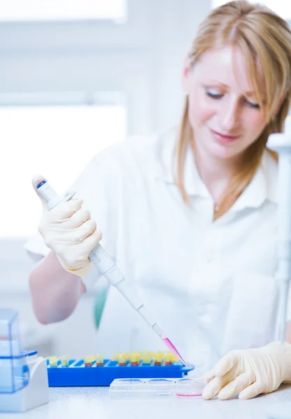 Retrato de una investigadora investigando en un laboratorio — Foto de Stock