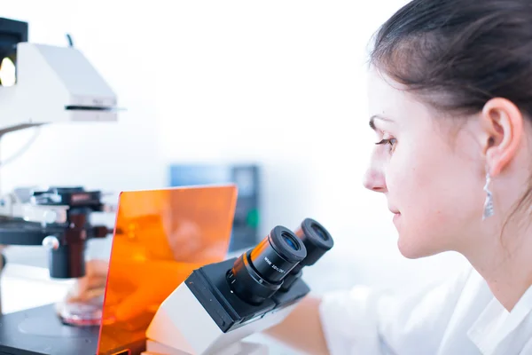 Portrait of a female researcher doing research in lab — Stock Photo, Image