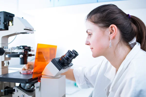 Portrait of a female researcher doing research in lab — Stock Photo, Image