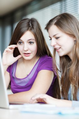 Two female college students working on a laptop computer clipart