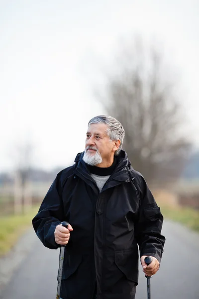 Senior homem nórdico caminhando — Fotografia de Stock