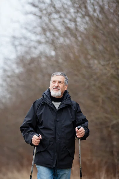Uomo anziano nordic walking — Foto Stock