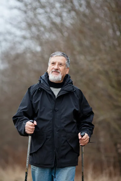 Senior man nordic-walking — Stockfoto